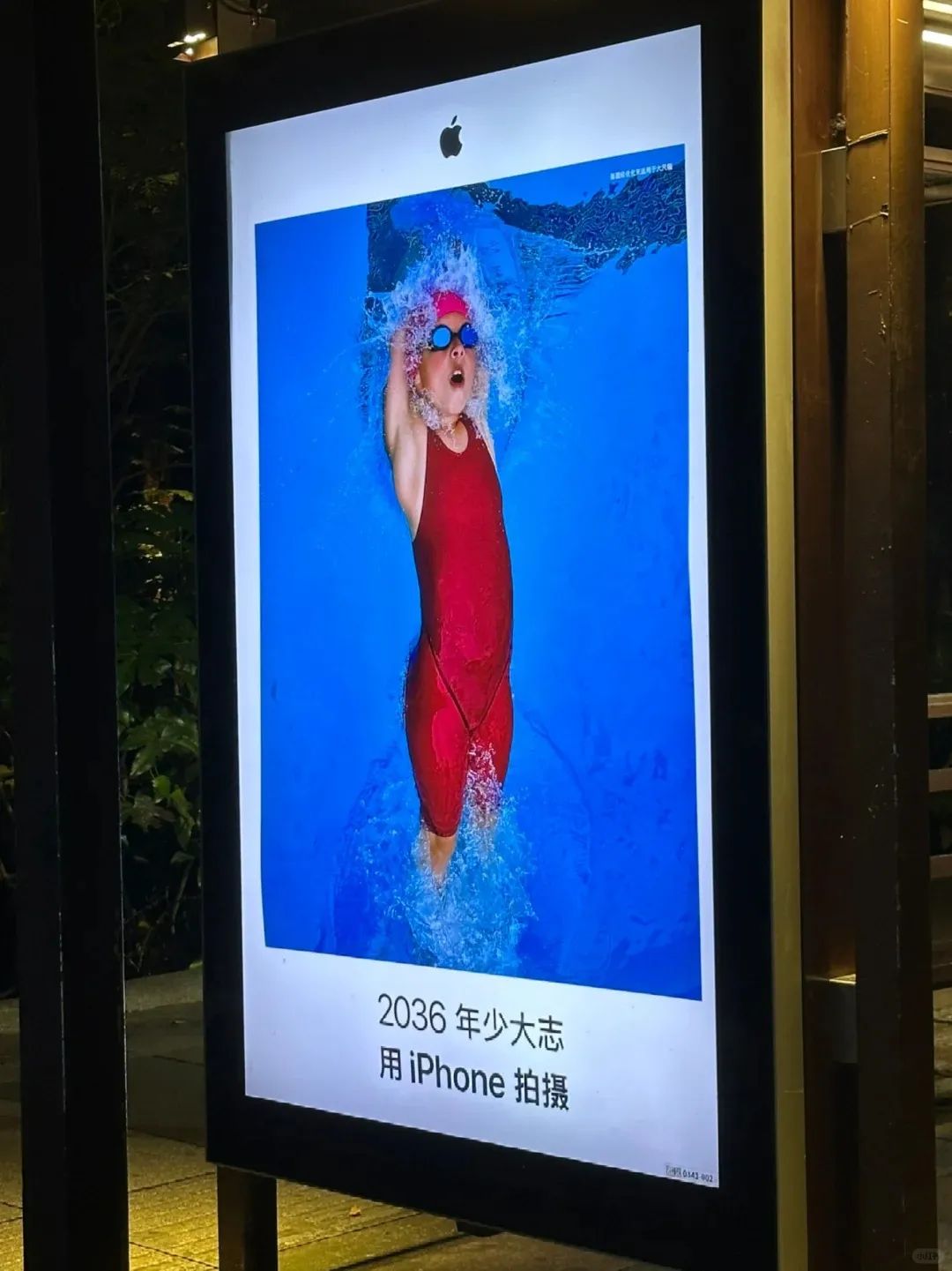 ͼƬ