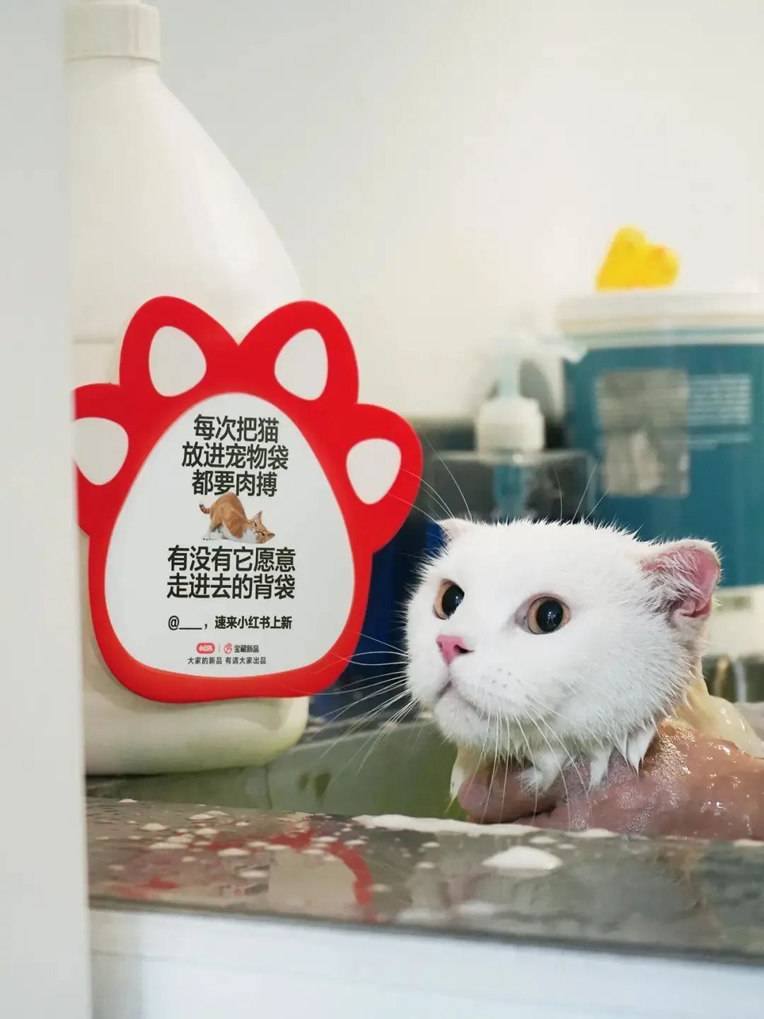 ͼƬ