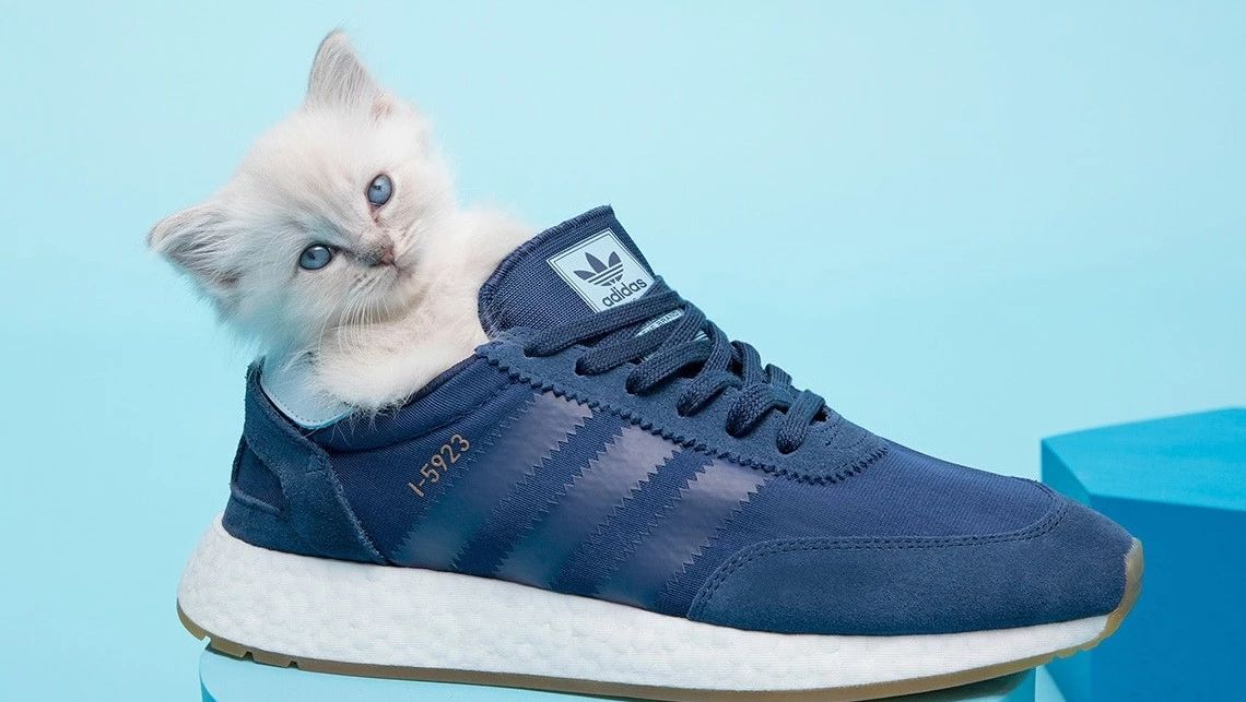 阿迪达斯出了一款“猫鞋”，萌化了！