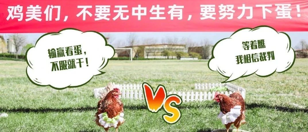 500万颗蛋的KPI，聚划算这波操作火了！