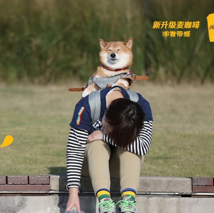 麦当劳这组犯困海报太真实了