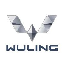 五菱车标，变色了！