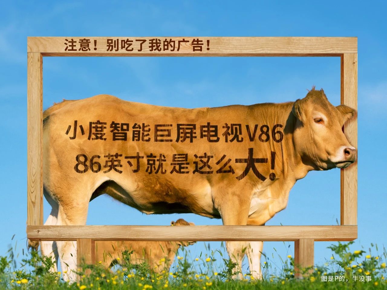 小度这组“户外”，只花50块！
