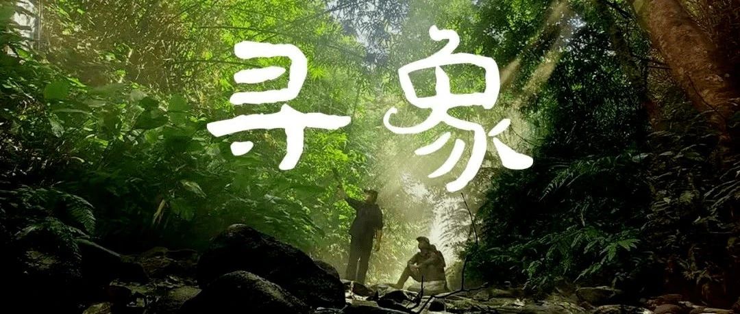 自媒体时代，新闻媒体营销价值在哪里？