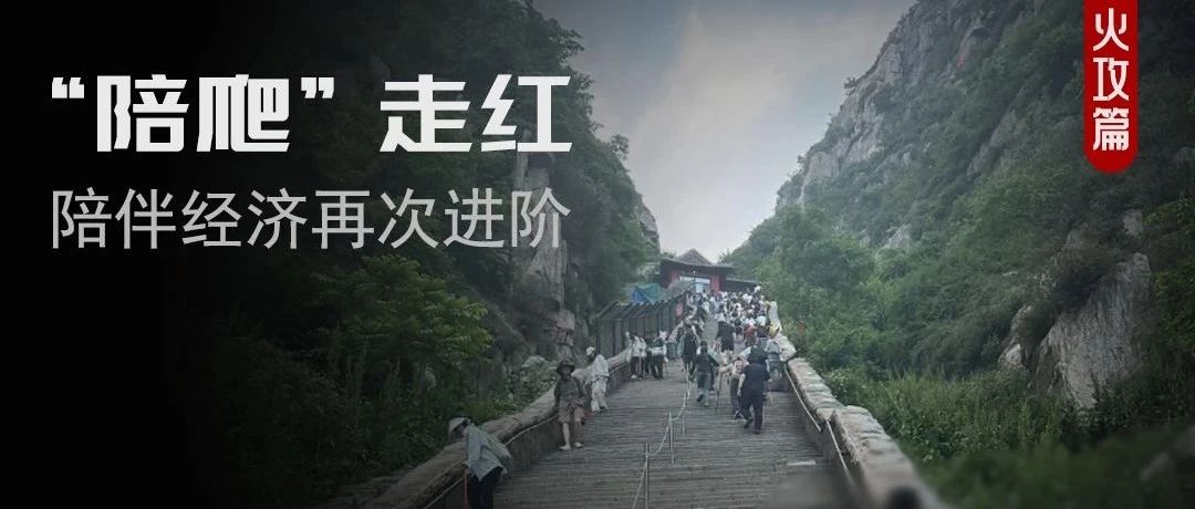 月入5万+！“泰山陪爬”爆火，其实是陪伴经济的进阶