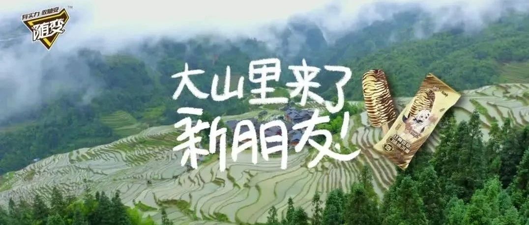 这场破次元的公益联动，真的太暖了！