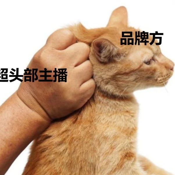 那些整活儿的直播间
