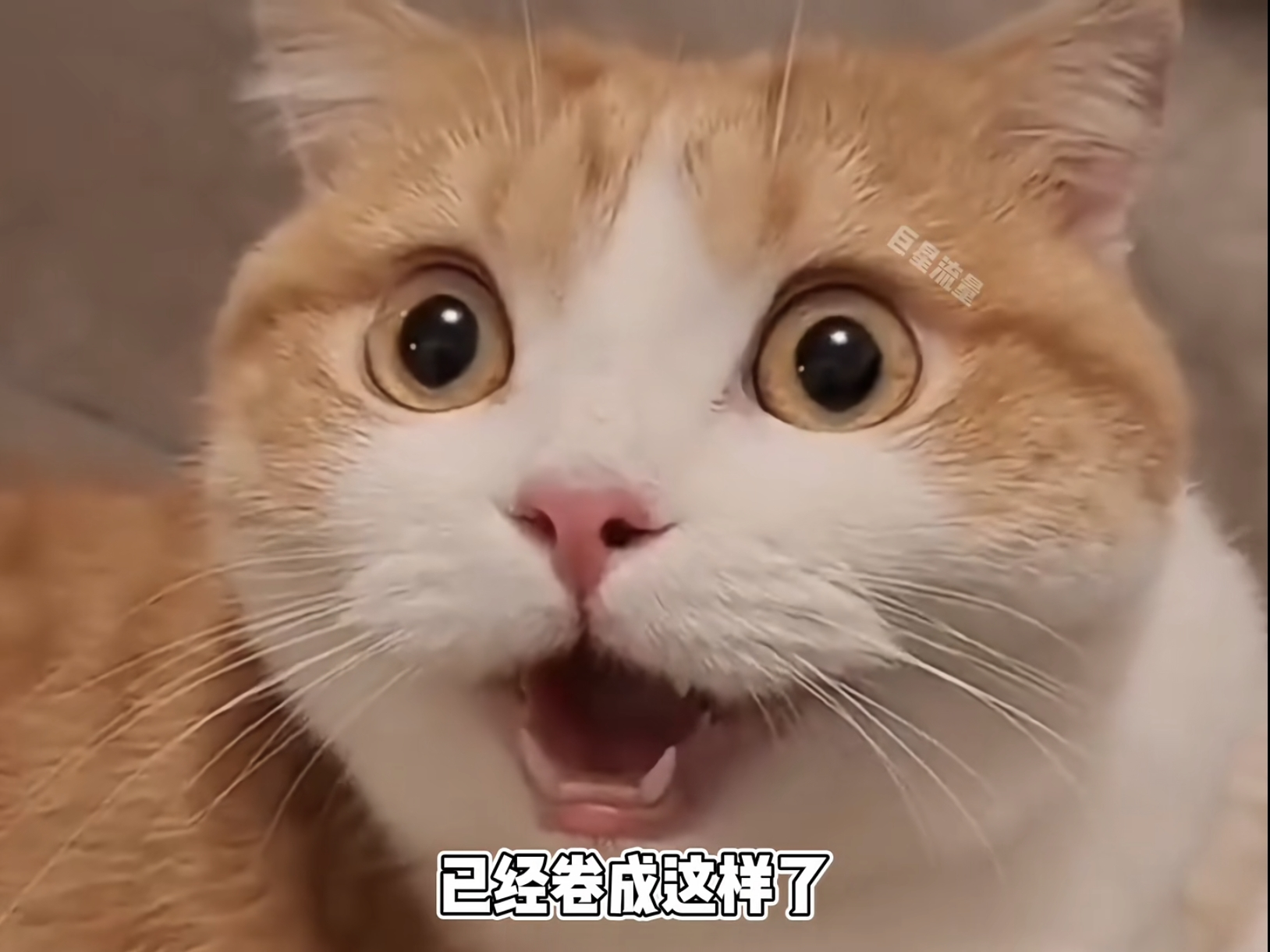 短剧营销格局变了？美团团购的海外短剧或成破局点