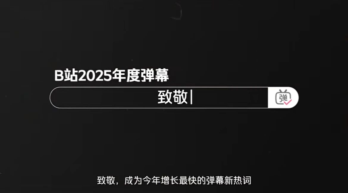 B站2025年度弹幕：致敬！